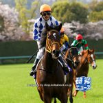 ジュエラー号が競走馬登録抹消