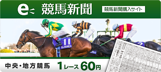ネットで買える競馬新聞　１レース６０円！e-競馬新聞