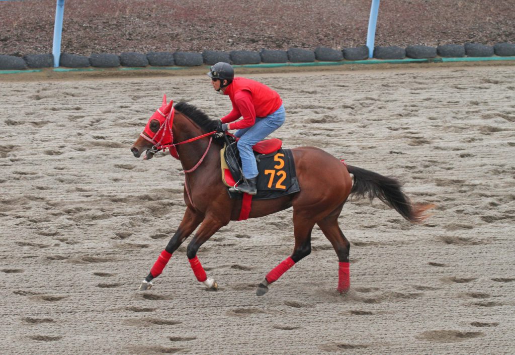 今週の有力新馬PICK UP！(スウィングビート) 競馬 研究ニュース