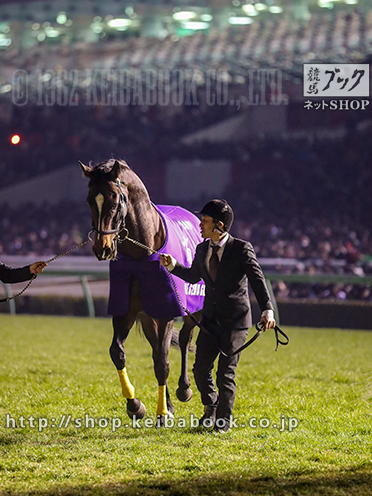 有馬記念 レース回顧 | 競馬 研究ニュース