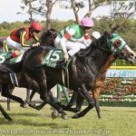 第41回 新潟大賞典 回顧