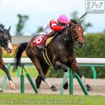 第34回 セントウルＳ 回顧