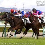 先週の馬単万馬券 的中者（11/28・29）