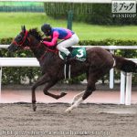 第26回 プロキオンＳ 回顧