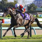 第56回 スプリンターズＳ 回顧