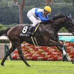 次走の狙い馬（2月11・12日 美浦組）