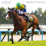 次走の狙い馬（5月27・28日 栗東組）