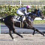 次走の狙い馬（7月30日 美浦組）