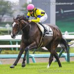 次走の狙い馬（9月9・10日 美浦組）