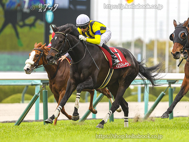 第67回阪神牝馬Ｓ 回顧 | 競馬 研究ニュース