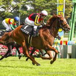 次走の狙い馬（8月11日 美浦組）