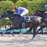 次走の狙い馬（8月3・4日 美浦組）