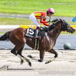 次走の狙い馬（8月24・25日 栗東組）