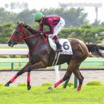 次走の狙い馬（8月17・18日 美浦組）