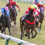 次走の狙い馬（10月5・6日 栗東組）