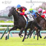 次走の狙い馬（10月26日 美浦組）