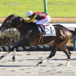 次走の狙い馬（12月7日・8日 美浦組）