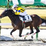 次走の狙い馬（1月25・26日 栗東組）