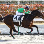 次走の狙い馬（1月18日・19日 美浦組）