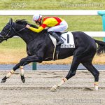 次走の狙い馬（2月2日 栗東組）