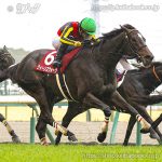 第61回金鯱賞 回顧