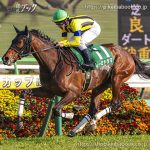 第39回 フラワーカップ 回顧