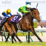 第55回高松宮記念 回顧