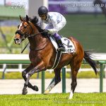 次走の狙い馬（4月19・20日 栗東組）