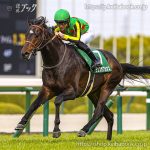 第34回チャーチルダウンズＣ 回顧
