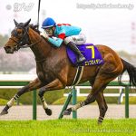 第85回桜花賞 回顧