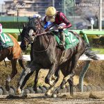 第32回 マーチＳ 回顧