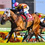 第43回 ニュージーランドＴ 回顧