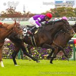 次走の狙い馬（4月5日 栗東組）
