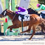 次走の狙い馬（3月30日 美浦組）