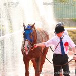 第30回アンタレスＳ 回顧