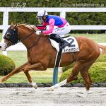 次走の狙い馬（4月12日 栗東組）