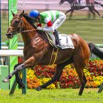 次走の狙い馬（4月19日・20日 美浦組）