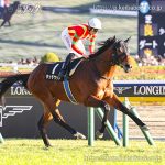 次走の狙い馬（5月10日 栗東組）