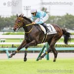 次走の狙い馬（4月27日 美浦組）