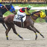 次走の狙い馬（5月3日 美浦組）