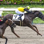 次走の狙い馬（5月18日 美浦組）
