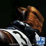 次走の狙い馬（5月24日・25日 美浦組）