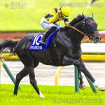 第75回 安田記念 回顧