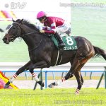 次走の狙い馬（6月1日 美浦組）