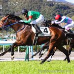 次走の狙い馬（6月8日 栗東組）