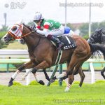 次走の狙い馬（6月22日 美浦組）
