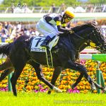 次走の狙い馬（6月14・15日 美浦組）