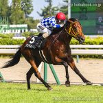 次走の狙い馬（6月14・15日 栗東組）