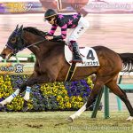 次走の狙い馬（6月28日・29日 美浦組）