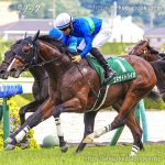第74回 ラジオNIKKEI賞 回顧